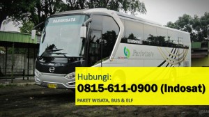 Bus Pariwisata Eksekutif Bandung, Bus Pariwisata Executive Bandung, Bus Pariwisata Yang Ada Di Bandung
